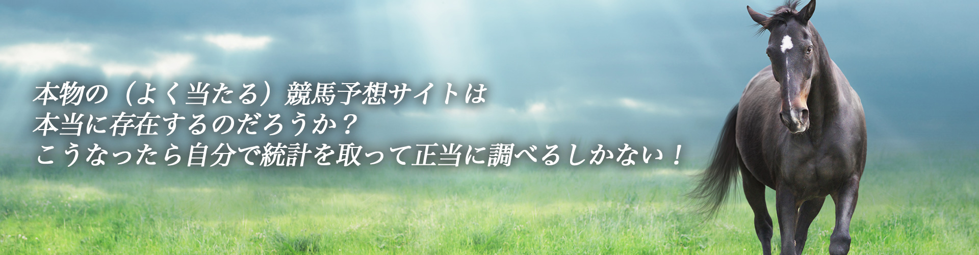 本物の競馬予想サイトをガチで検証する『競馬サーチ』 イメージ2
